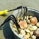 한마음민박 이미지