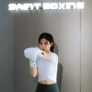 세인트복싱 이미지