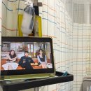 전북대학교(본관) | 전북대학교병원 쌍둥이 제왕절개 출산후기/ 수술 2일차 (6박 7일 입원)