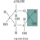 알데히드(알데하이드) aldehyde 이미지