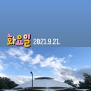 자인계정숲 Daum카페