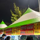 2024 대전 서구아트페스티벌 기본정보 공연 라인업 불꽃놀이 주차 후기