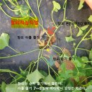 주경농장 이미지