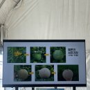 맛디아농장 이미지