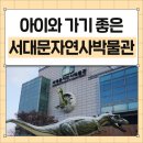서대문자연사박물관(11월~2월) | 겨울방학에 아이와 가기 좋은 서대문자연사박물관에서 자연과학 산책