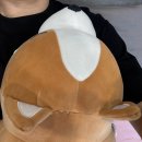 텔레파크 | 욕만 하다 끝난 6월일기