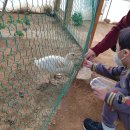 나눔농장 이미지