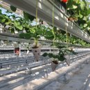 선한농장 이미지