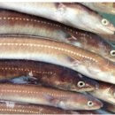 경마공원역 5번 출구 이미지