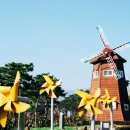 곡성기차마을게스트하우스 네이버블로그
