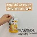 도라지야채