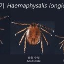 381 이미지