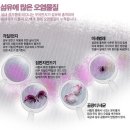 피톤바이오 이미지