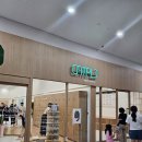 아늑 일산탄현점 | 일산 아이와 가볼만한 곳 캣플헤븐 일산 탄현점 방문 후기