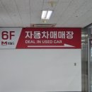 월드 자동차 부분정비 | 내돈내산 대구엠월드 중고차 구매후기 여자 사회초년생 차추천 셀토스