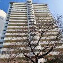 분당-215 이미지