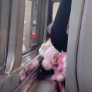 저기요 먹기만 하시나요?