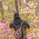 산과들과바다와함께 이미지