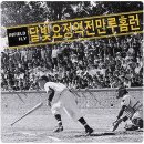 달빛케이크