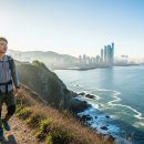 완주관광안내센터 | 해파랑길 8코스 울산 구간 완주 후기: 숲과 바다가 어우러진 동해안 트레킹의 진수