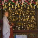 상주 남장사 관음선원 목각아미타여래설법상 이미지