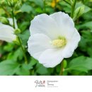 선학체육관 이미지