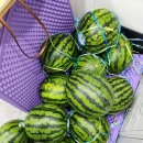 MTA 우리 태권도 이미지