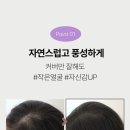 또봄헤어 - 목포시 | 또봄헤어