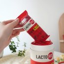 19 | 락토핏 맥스19 후기 온가족 유산균 추천