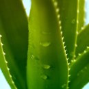 햇빛 좋은 PT 이미지