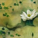 相生-2003 이미지