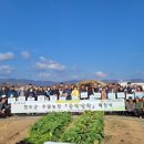 장식농장3 이미지