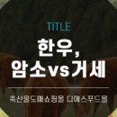 누렁이한우종가 이미지
