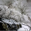 비엔나모텔 이미지