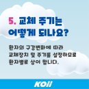 코이(koii) - 강남구 | 코이(koii)