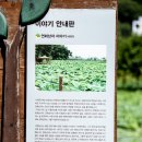 두물머리연꽃마을