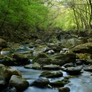 의주농장 이미지