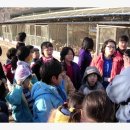 꼬꼬와아이들 이미지