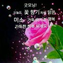 명심보감 이미지