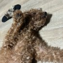 상주시정신건강복지센터 | 상주시정신건강복지센터 자살예방의날 기념 유성호 교수님 강연