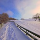 녹색목장 이미지