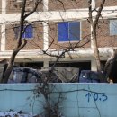 데일리김밥떡볶이 이미지