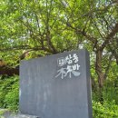 안양판교로828번길 | 판교 메밀소바 정식 맛집 삼동소바 판교점 주말 방문 후기 웨이팅