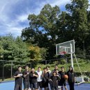 용인대 캡틴 유도 이미지