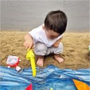예원어린이집 | 부모님의 진짜 만족을 부르는 탄벌동어린이집, 현대예원어린이집 선택 전 꼭 체크해야 할 포인트들
