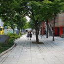 목동문화체육센터 이미지