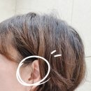 귀한보청기 청각언어재활센터 이미지