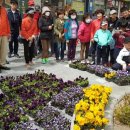 반월동 주민센터 이미지