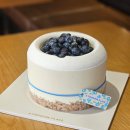 라니케이크 | 투썸 블루베리 요거트 생크림 홀케이크 예약 칼로리 후기