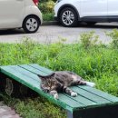 유키구라모토 피아노 연주회 | 유키 구라모토 피아노 콘서트 다녀온 후기